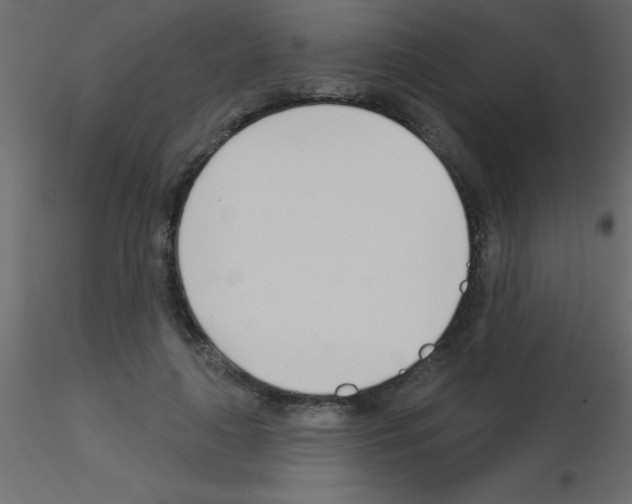 X0000115830643200912241957