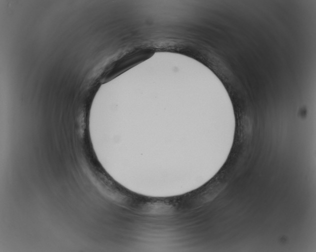 X0000115830644200912241957