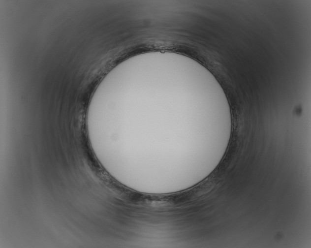 X0000115830645200912241957