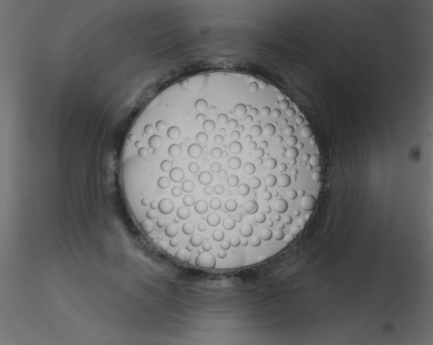 X0000115830646200912241957