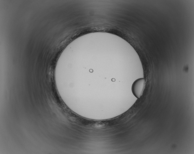 X0000115830647200912241957