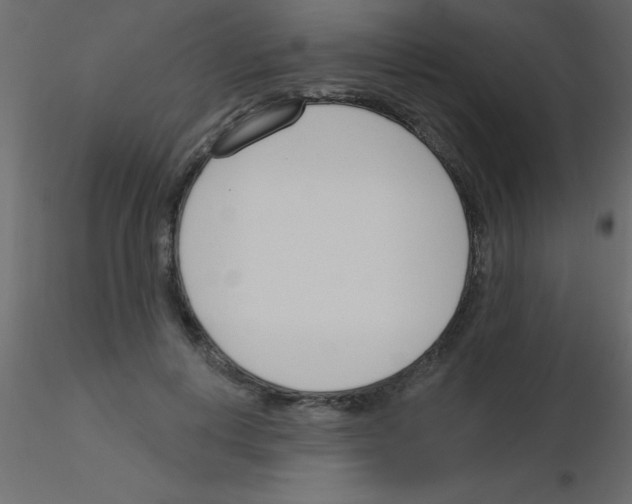 X0000115830648200912241957