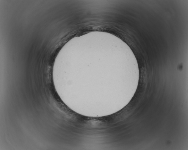 X0000115830650200912241957