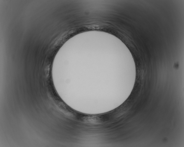 X0000115830652200912241957