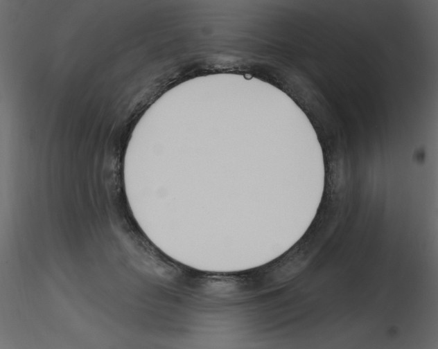 X0000115830653200912241957