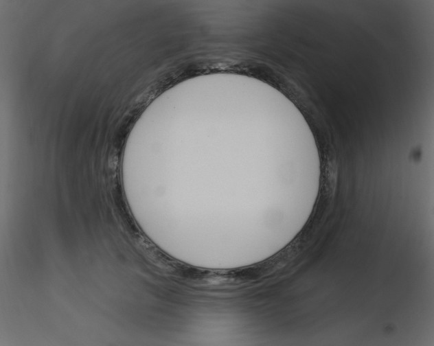 X0000115830657200912241957