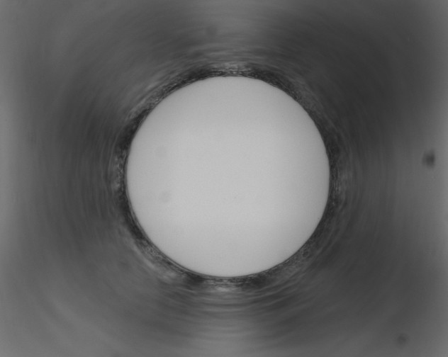 X0000115830658200912241957