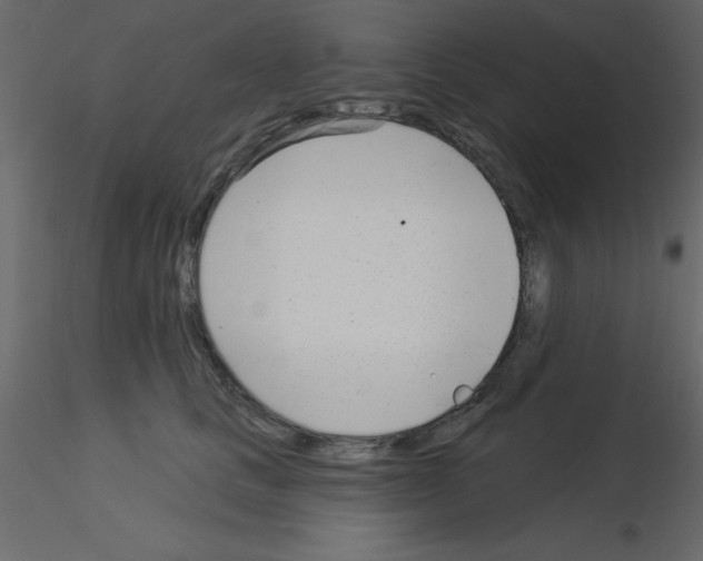 X0000115830661200912241957