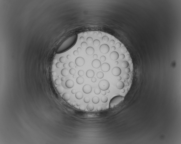 X0000115830662200912241957