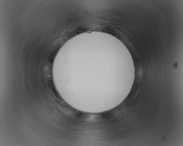 X0000115830663200912241957