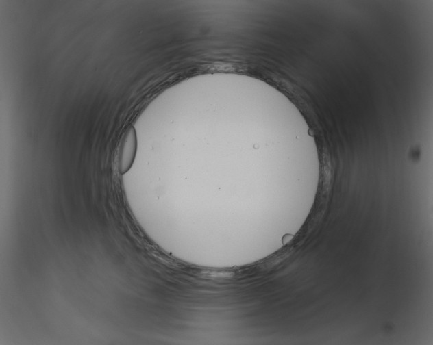 X0000115830665200912241957