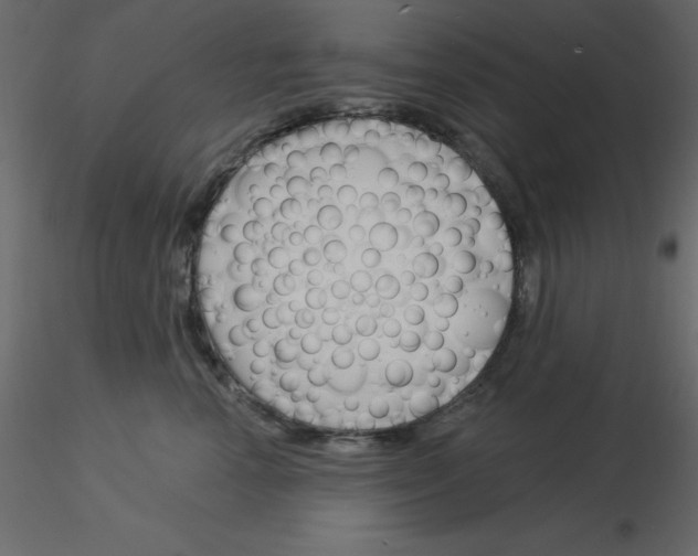 X0000115830666200912241957