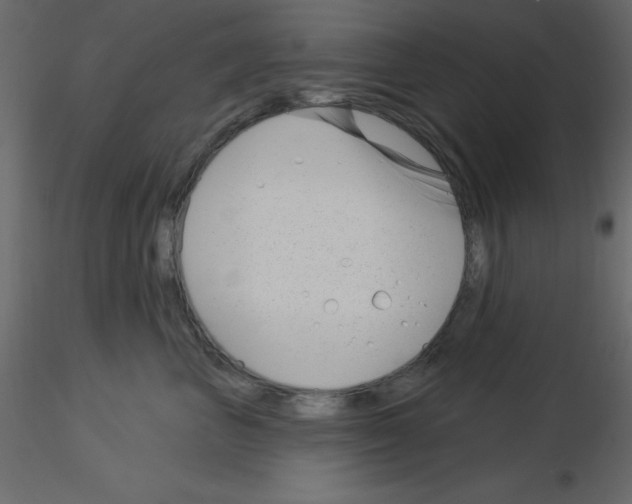 X0000115830667200912241957