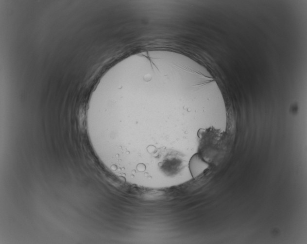 X0000115830669200912241957