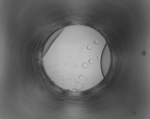 X0000115830671200912241957