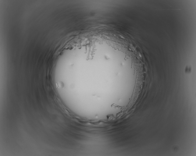 X0000115830672200912241957