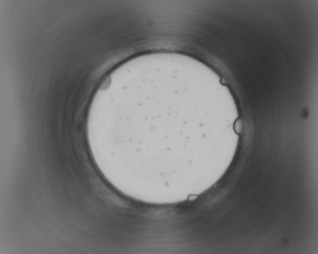 X0000115830673200912241956