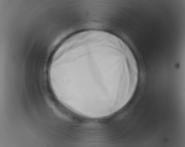 X0000115830674200912241956