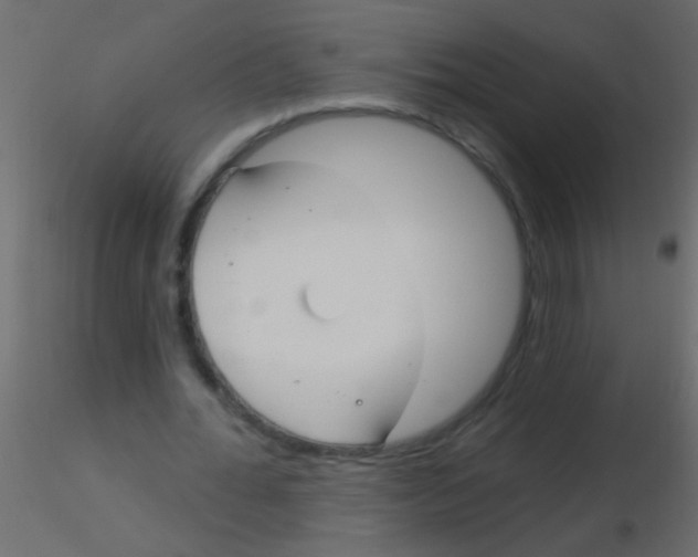 X0000115830676200912241956