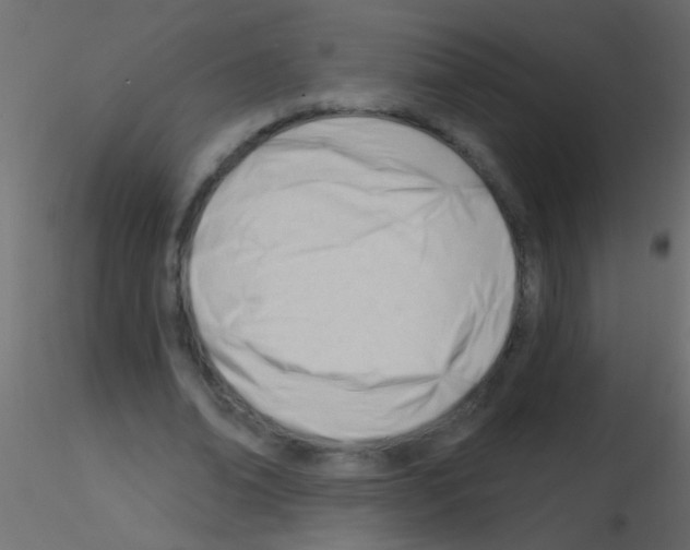 X0000115830678200912241956