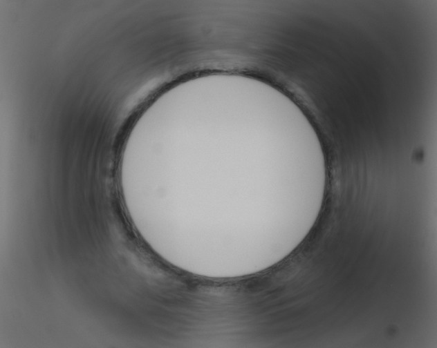 X0000115830679200912241956