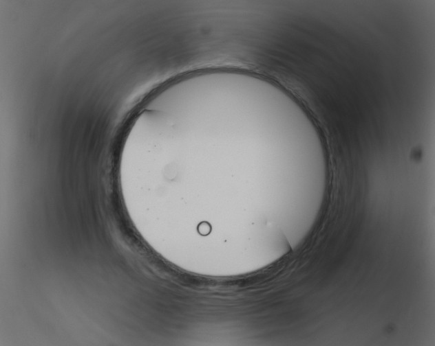 X0000115830680200912241956