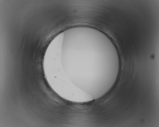 X0000115830681200912241956