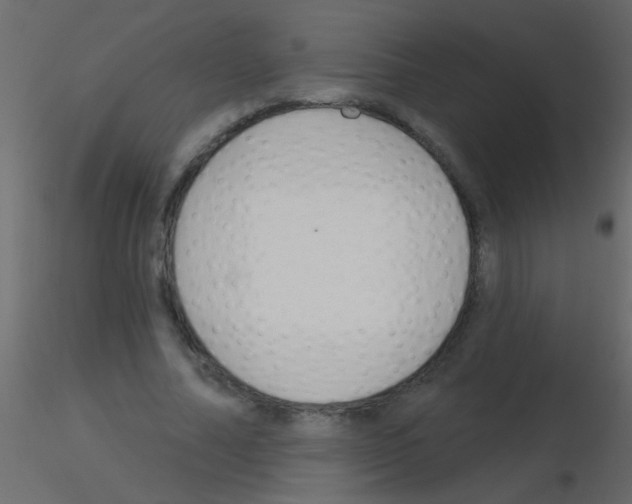 X0000115830682200912241956