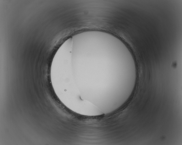 X0000115830685200912241956