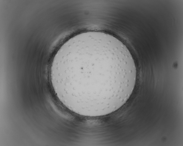 X0000115830686200912241956