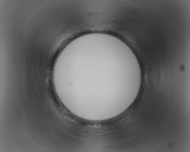 X0000115830687200912241956