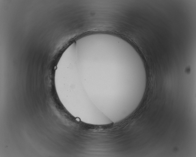 X0000115830688200912241956