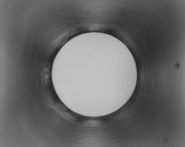 X0000115830691200912241956