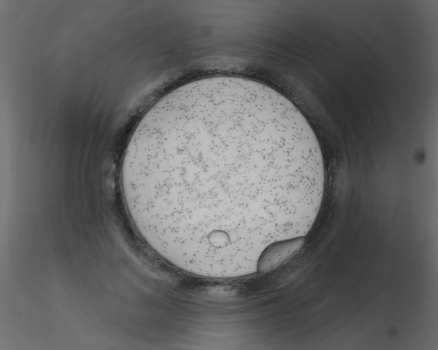 X0000115830692200912241956