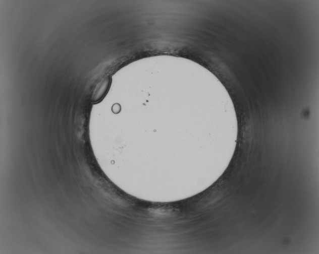 X0000115830693200912241956