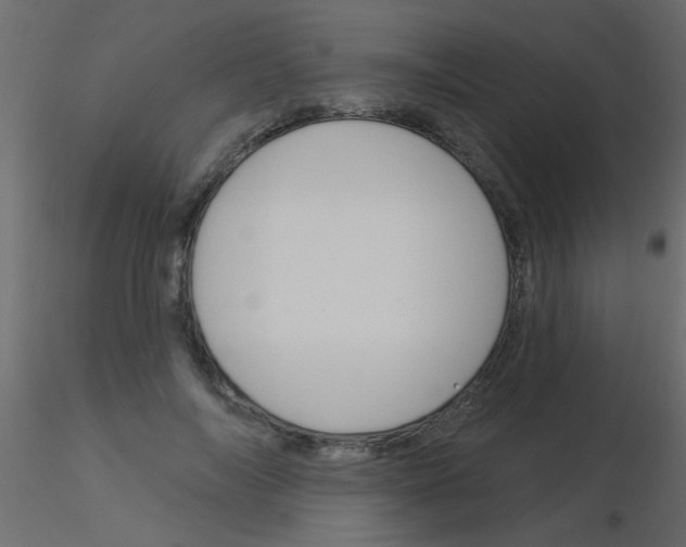 X0000115830694200912241956