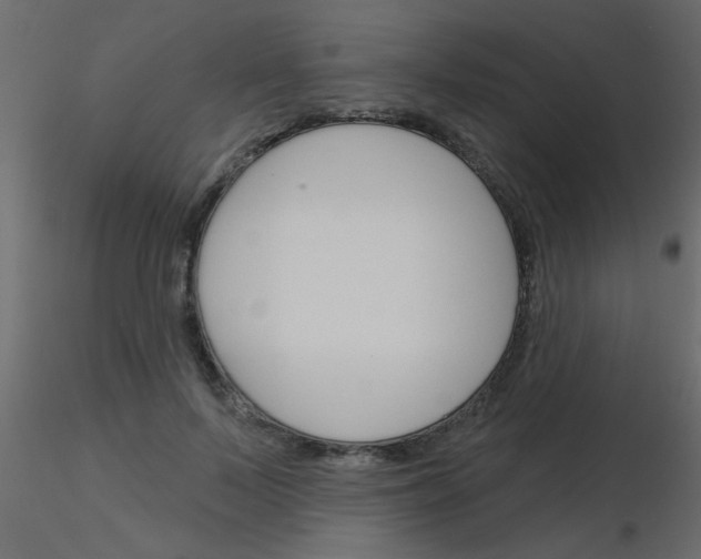 X0000115830695200912241956