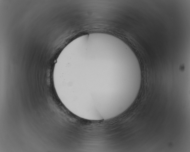 X0000115830696200912241956