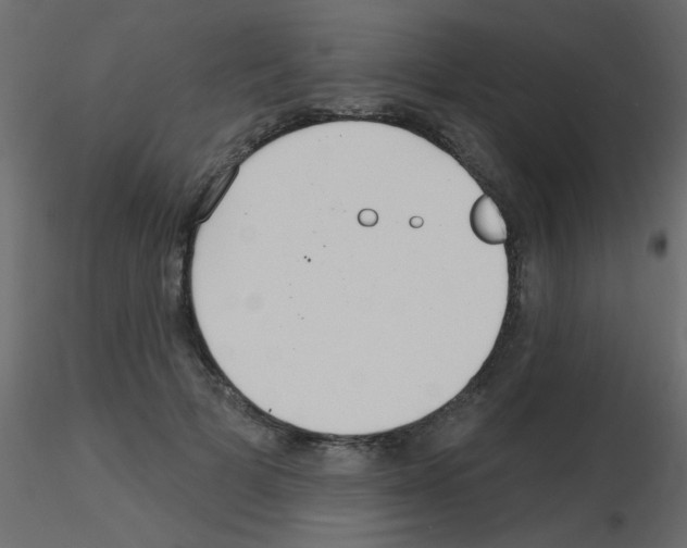 X0000115830697200912241956