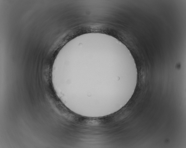 X0000115830698200912241956