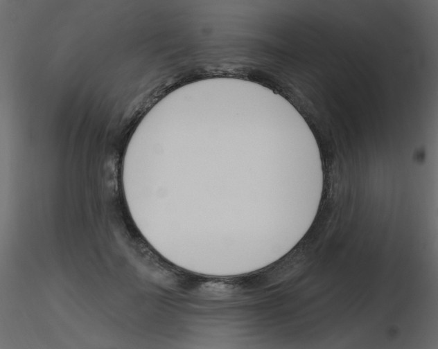 X0000115830699200912241956