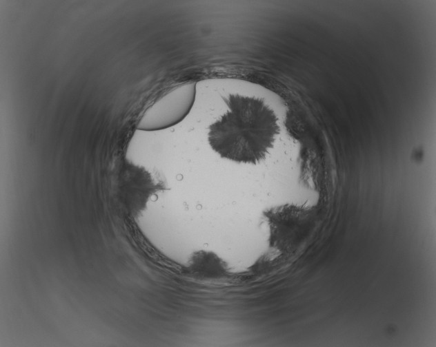 X0000115830703200912241956