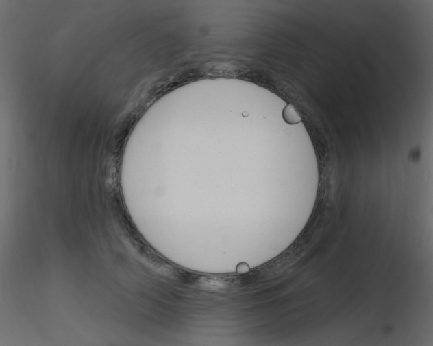 X0000115830706200912241956