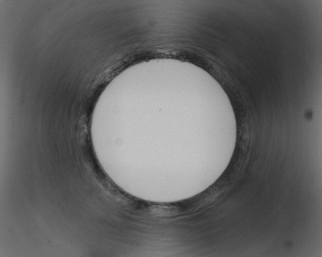 X0000115830707200912241956