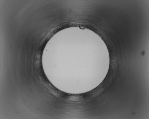 X0000115830708200912241956