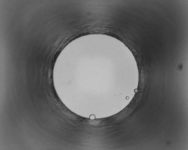 X0000115830709200912241956