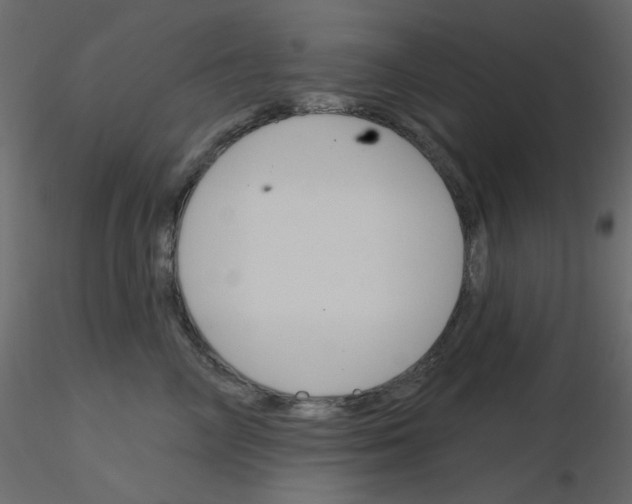 X0000115830714200912241956