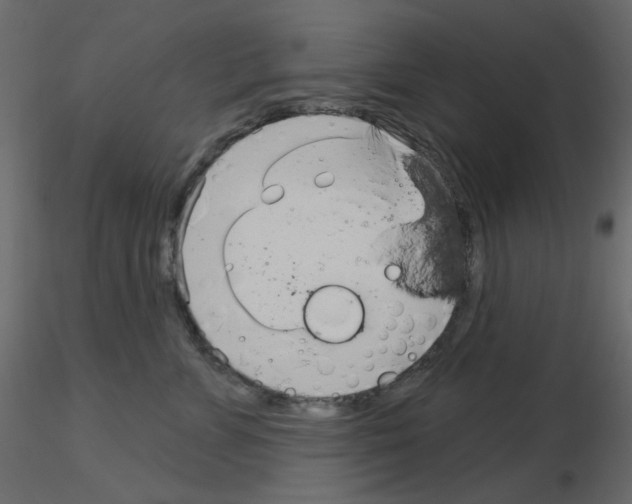 X0000115830715200912241956