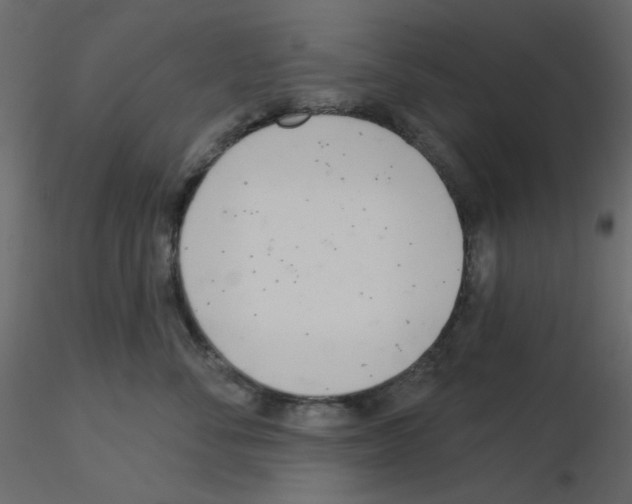 X0000115830716200912241956