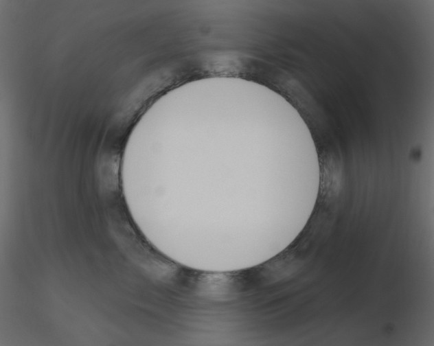 X0000115830717200912241956